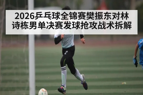 2026乒乓球全锦赛樊振东对林诗栋男单决赛发球抢攻战术拆解
