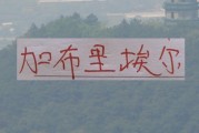 手机客户端-鱼缸里的鱼又回来！海港加布里回来后 今年说实话实力是增强了